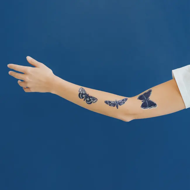 Tattly Temporary Tattoo Pair - Sapphire Moths
