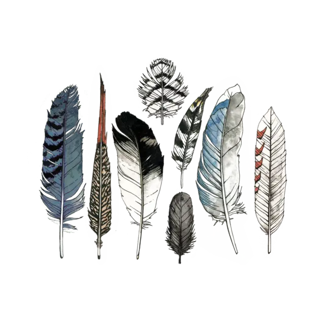 Tattly Temporary Tattoo Set- Watercolor Feathers