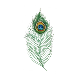 Tattly Temporary Tattoo Pair- Peacock Feather