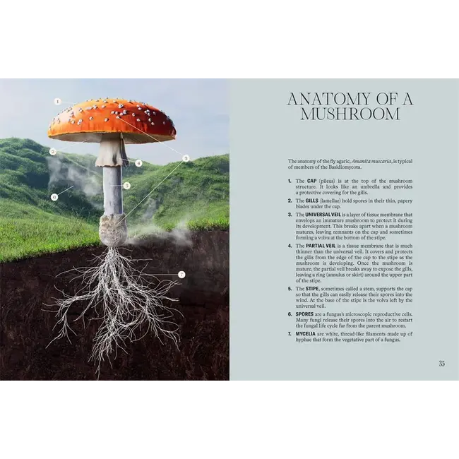 : How Fungi Can Feed Us, Heal Us, Free Us and Save Our WorldThe Future is Fungi