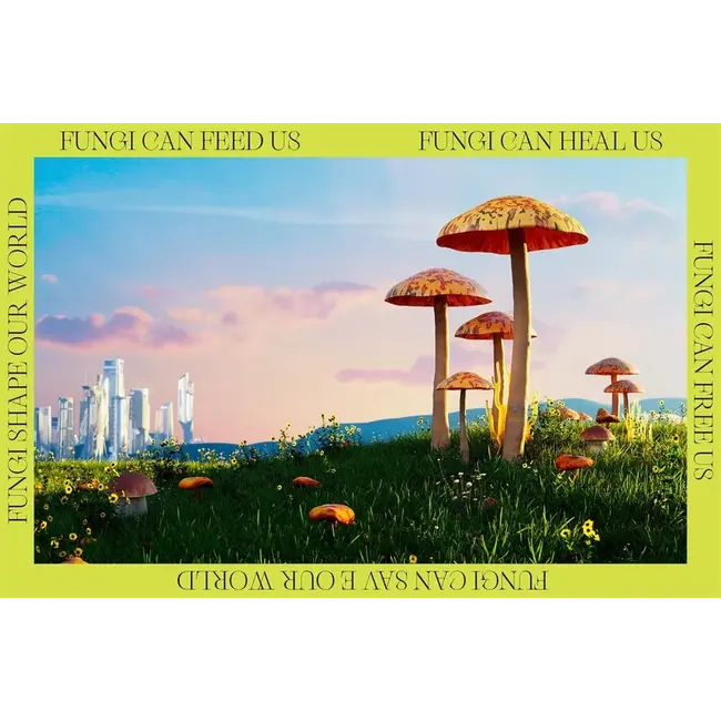 : How Fungi Can Feed Us, Heal Us, Free Us and Save Our WorldThe Future is Fungi