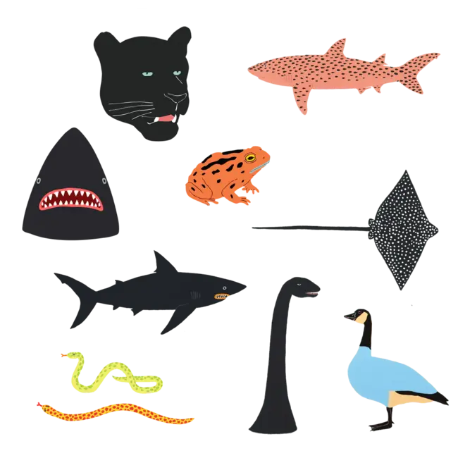 Tattly Tiny Tattoo Tin Set (10) - Animals