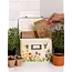 Wildflower Botanicals Tin Seed Storage Box