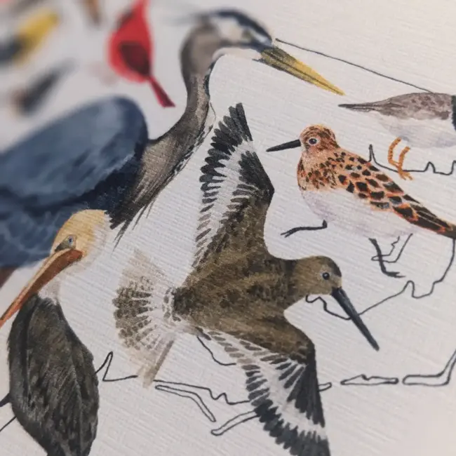 Papermill Creative NC Birds Notecard Boxed Set (5)