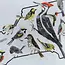 Papermill Creative NC Native Birds Tea Towel