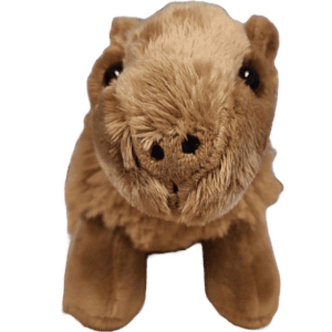 Steve the Canned Capybara