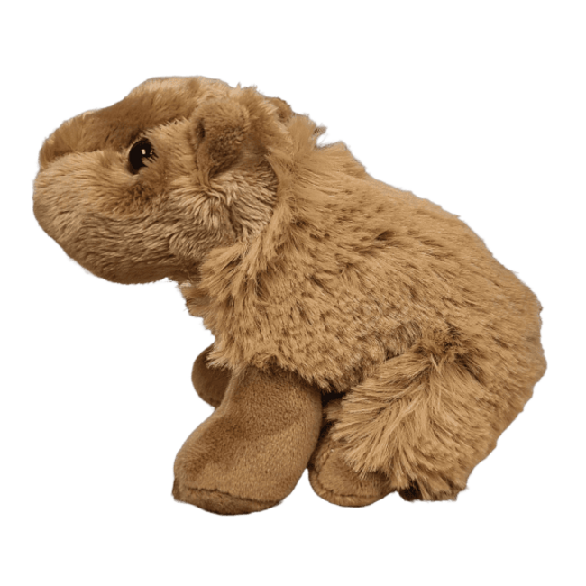 Steve the Canned Capybara