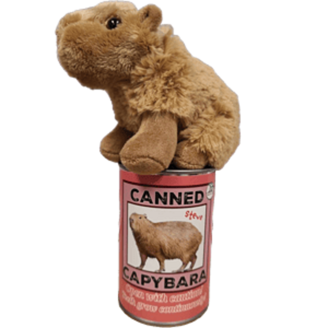 Steve the Canned Capybara