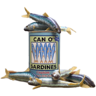 Canned Sardines