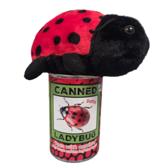 Canned Ladybug