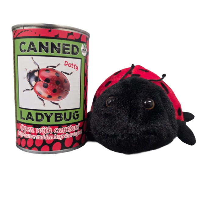 Canned Ladybug