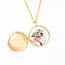 Virginia Locket Necklace on Brass Chain