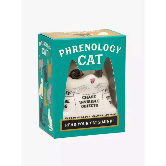 Phrenology Cat