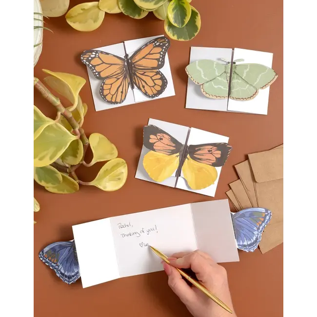Flutter Friends Fold-Out Cards Boxed Set