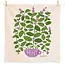 Tea Towel Set (2) - Lilac Purple