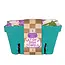 Tea Towel Set (2) - Lilac Purple