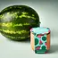 Tiny Terracotta Garden Kit: Baby Watermelon