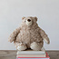 Plush Bear Brown