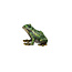 Enameled Metal Frog Trinket Box