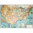 Cavallini Vintage Poster - USA Map