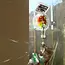 Solar Powered RainbowMaker