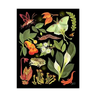 Nighttime Nature Print 11x14