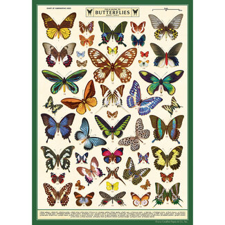 Cavallini Vintage Poster - Field Guide to Butterflies
