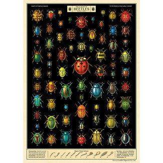 Cavallini Vintage Poster - Field Guide to Beetles