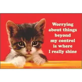 Worrying About Things Magnet