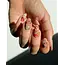 Haricot Vert Special Edition Nail Art Stickers