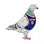 NY Basketball Sticker