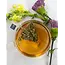 Asheville Tea Company Jasmine Gold Tea Box (20)