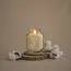 Cotton & Teak Botanica Candle 8oz