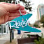 Raleigh Mid-Century Boomerang Ornament