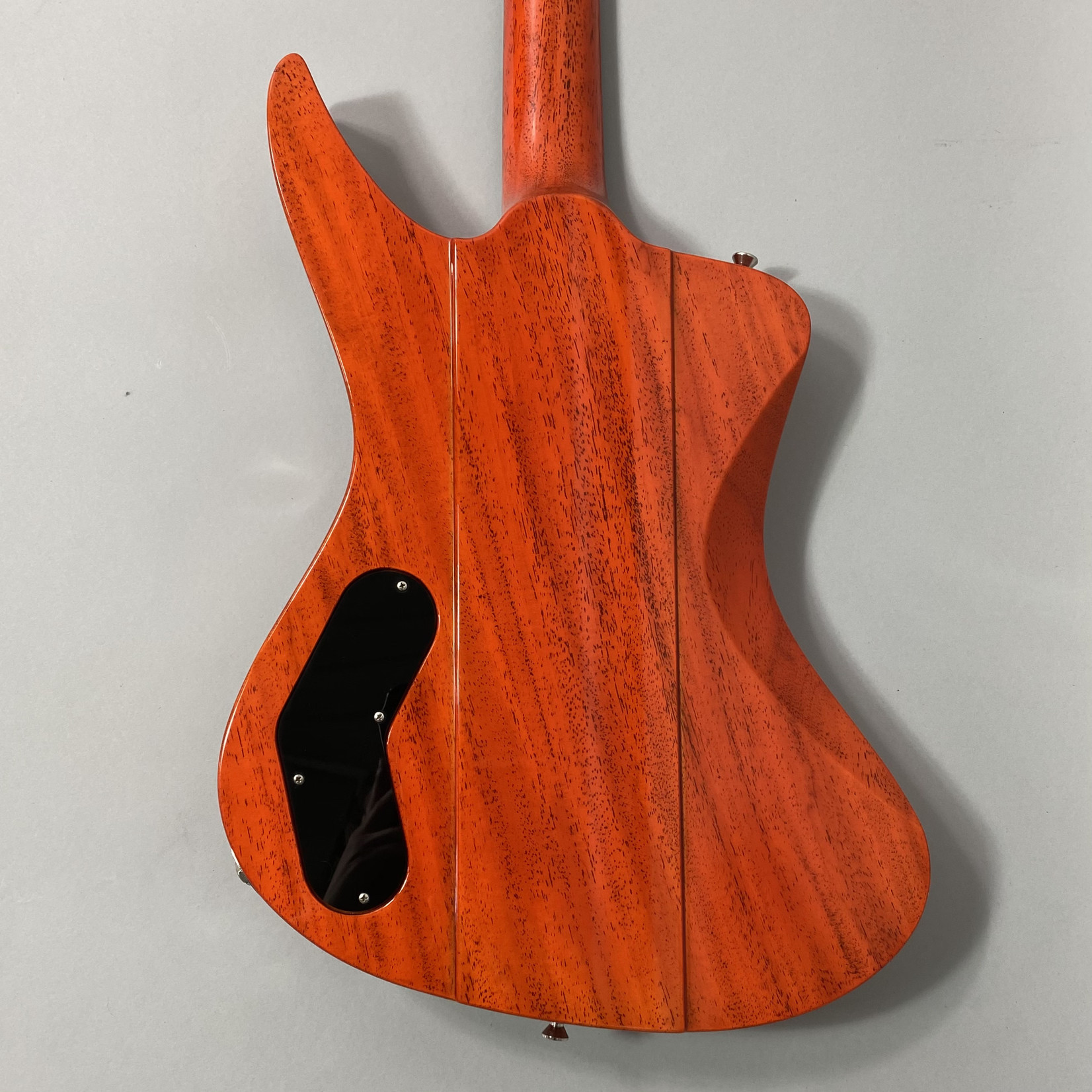 Robin Robin Fleetwood