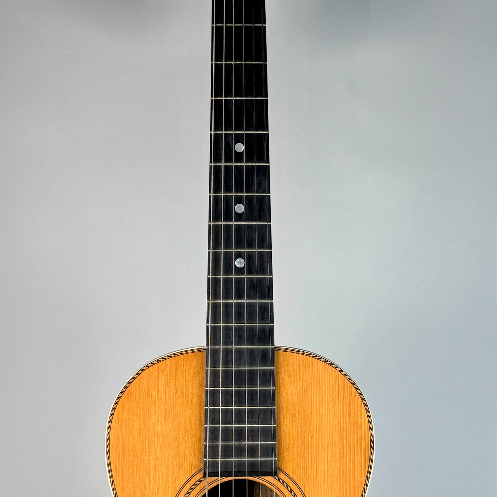 Washburn 1903 Washburn "1897 Style New" Parlor