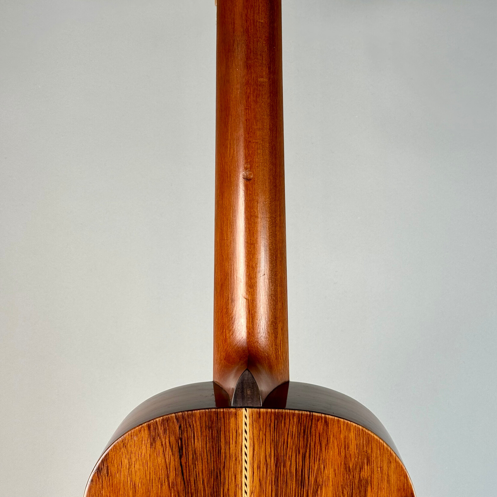 Washburn 1903 Washburn "1897 Style New" Parlor