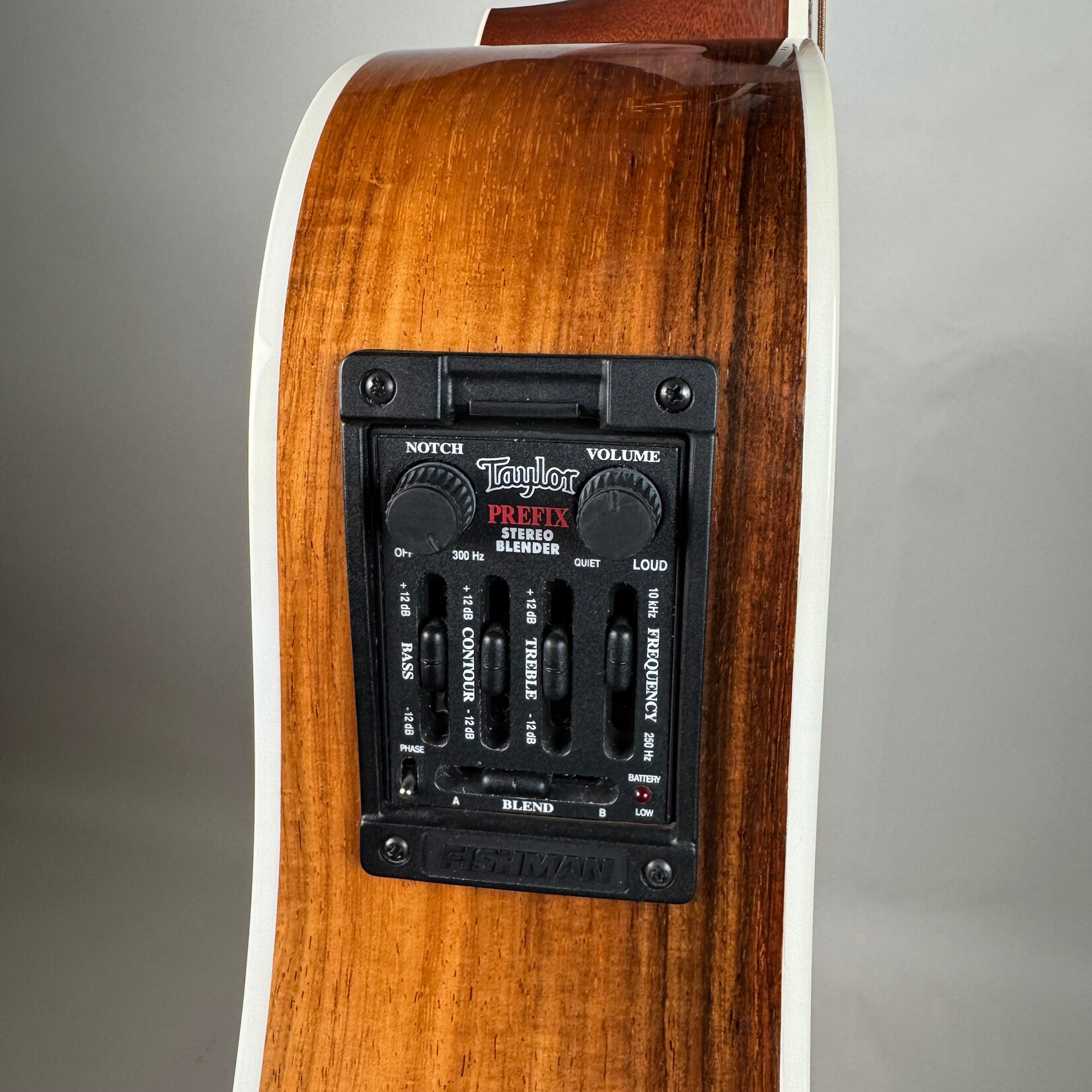 Taylor 2001 Taylor 810-ce-ltd Brazilian