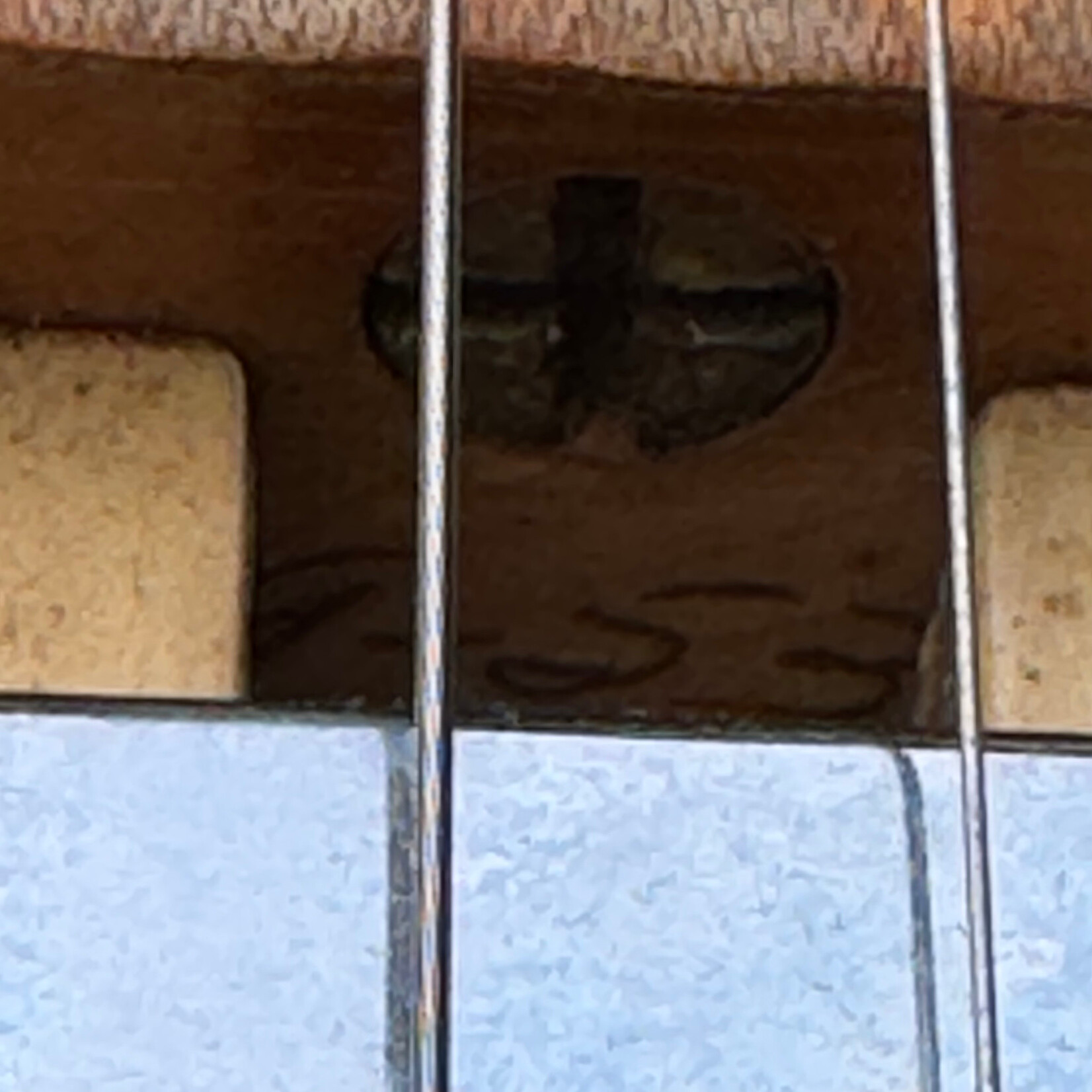 Fender 1953 Fender Telecaster Blackguard