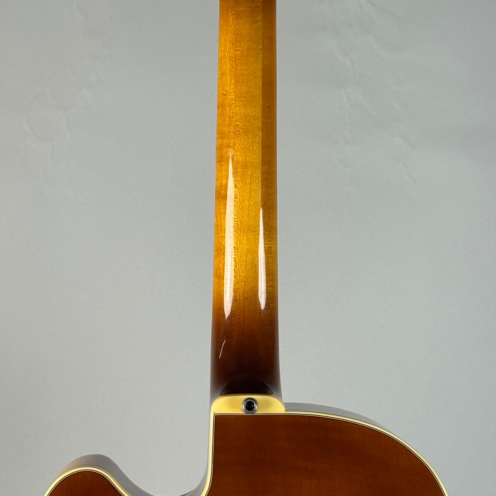 Fender 1985 Fender D'Aquisto Elite MIJ