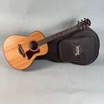 Taylor Taylor GT Urban Ash