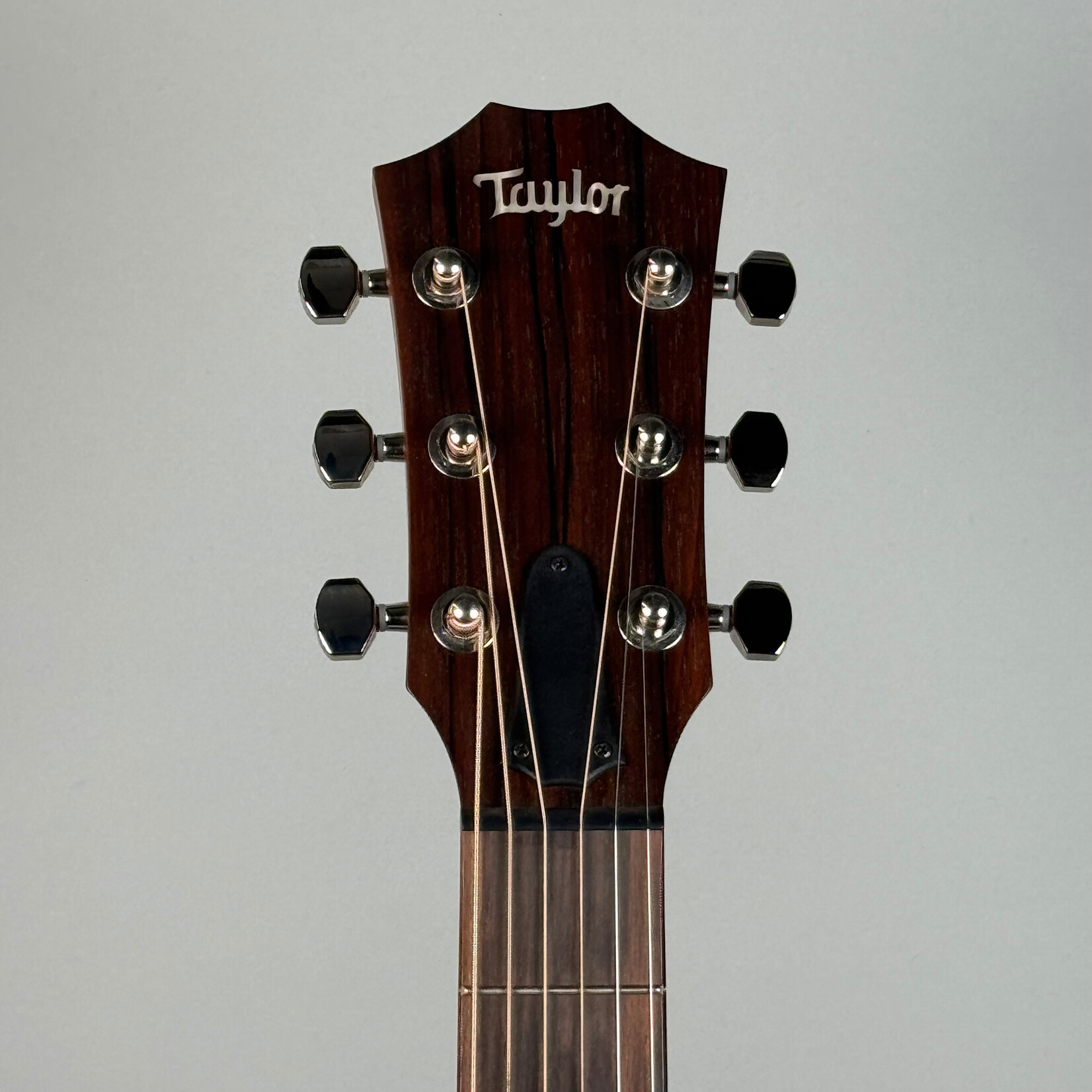 Taylor Taylor GT Urban Ash