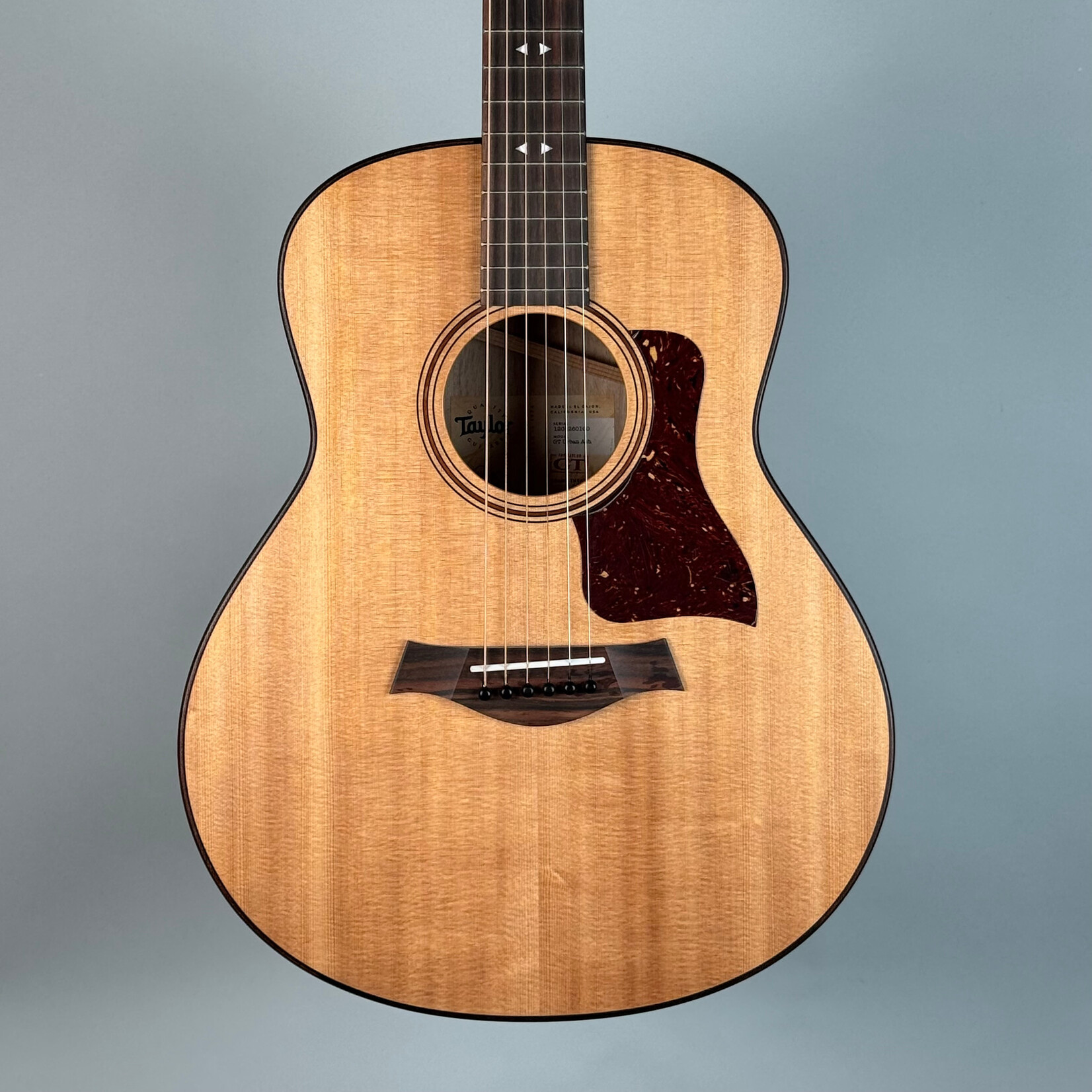 Taylor Taylor GT Urban Ash
