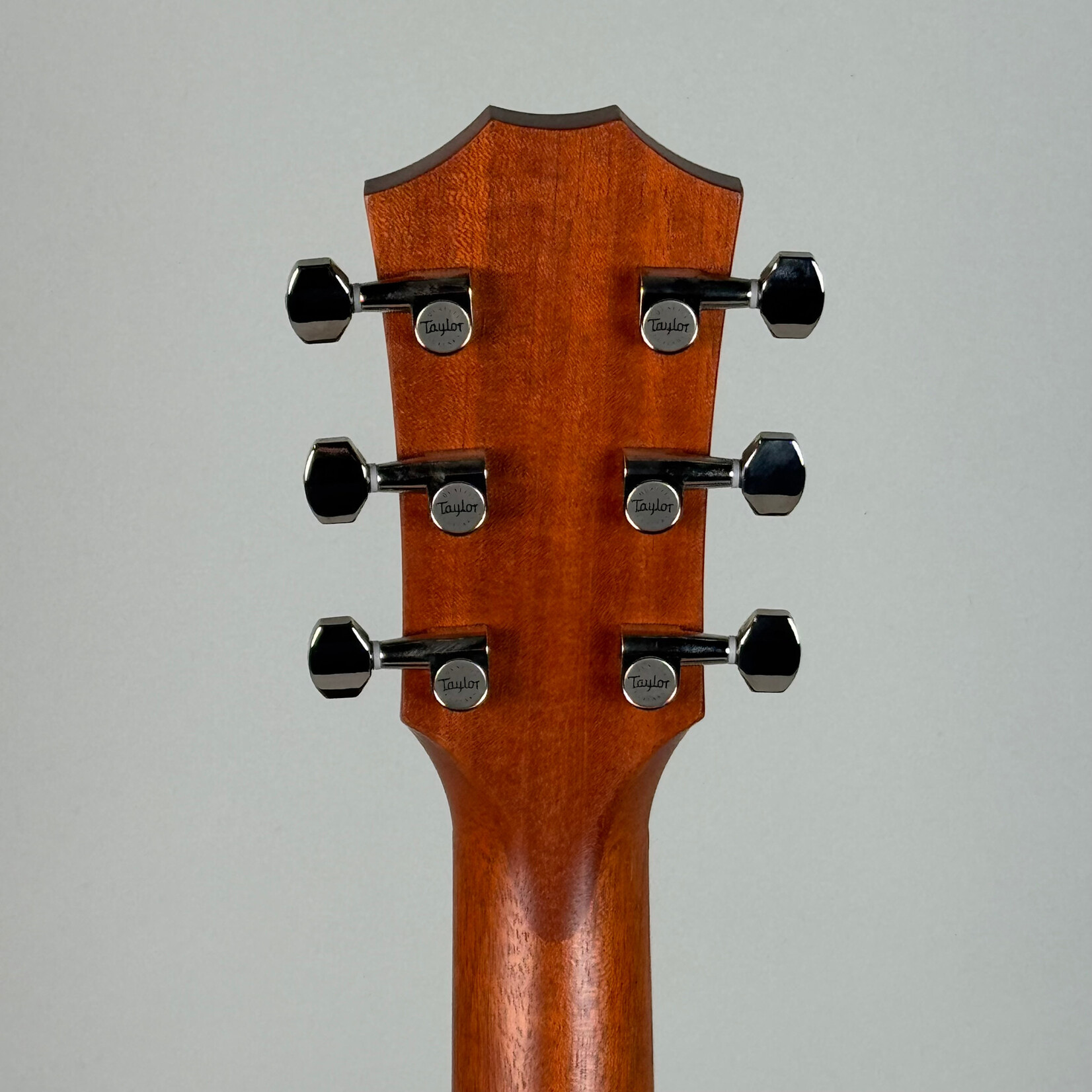 Taylor Taylor GT Urban Ash