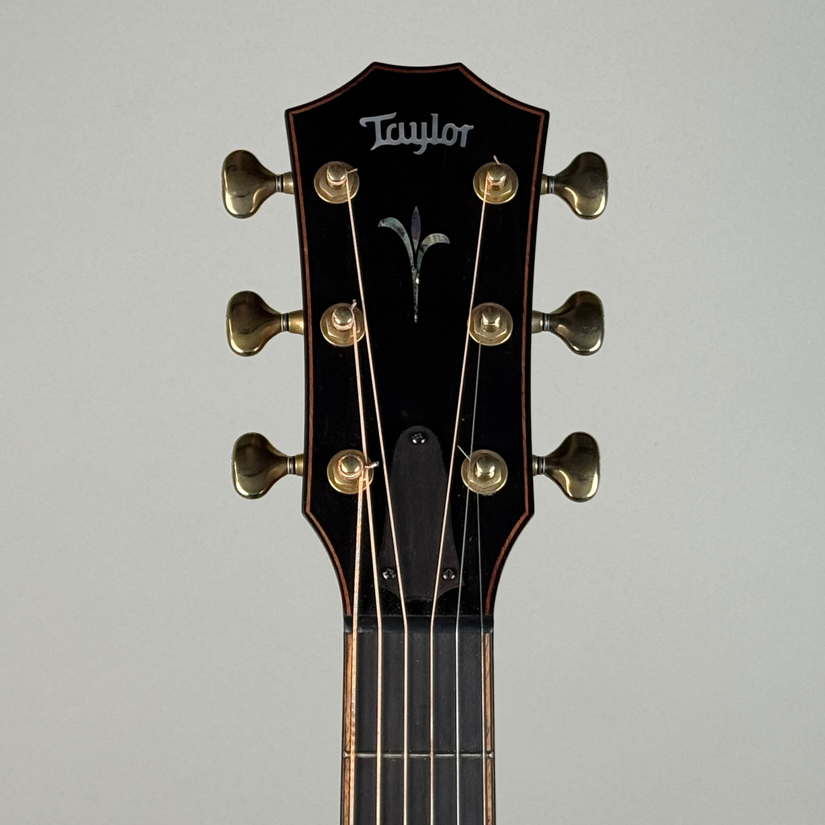 Taylor Taylor Builder's Edition K24ce w/OHSC