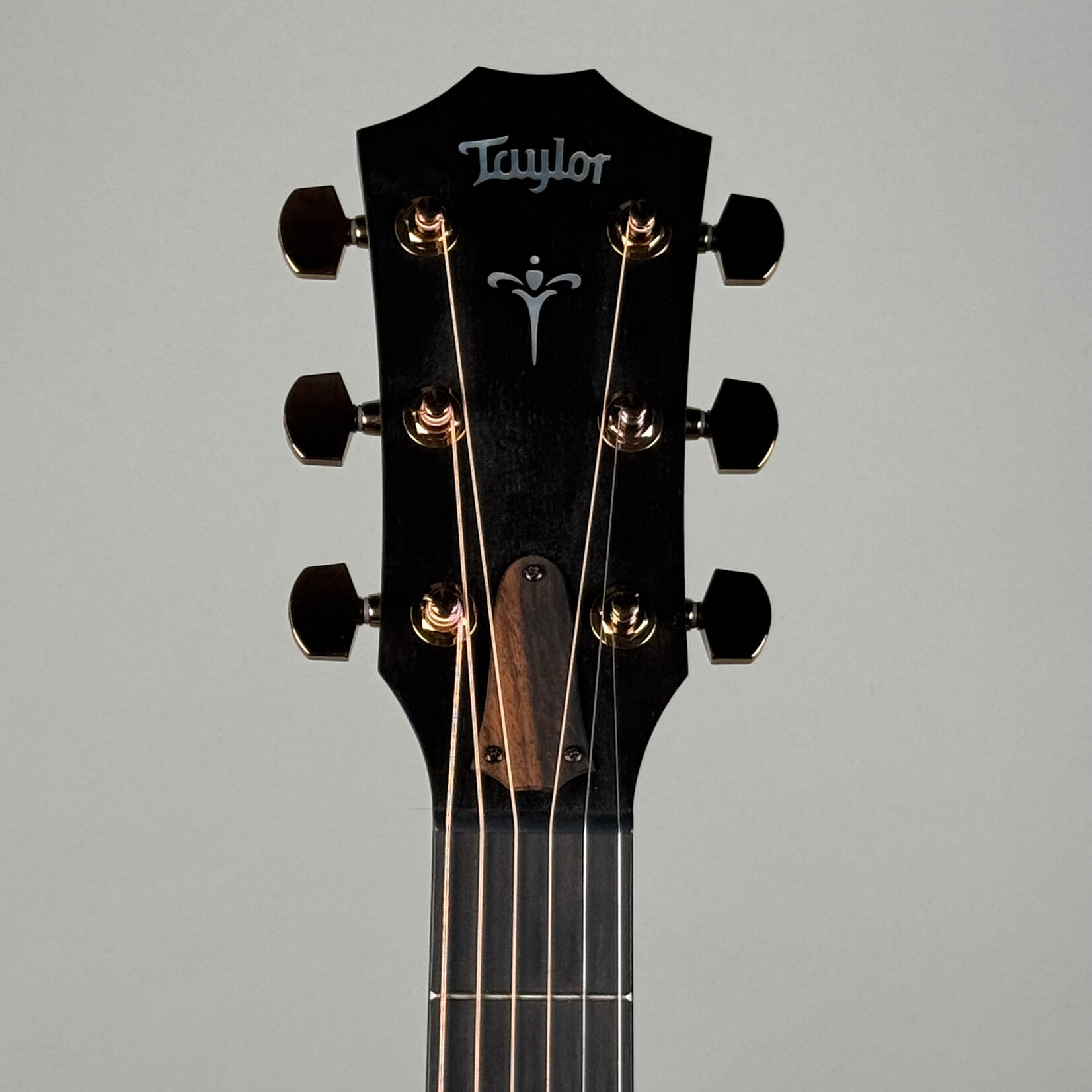 Taylor Taylor 724ce w/ OHSC