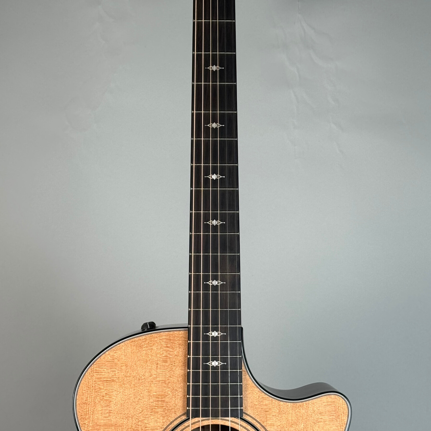 Taylor Taylor 314ce w/ OHSC