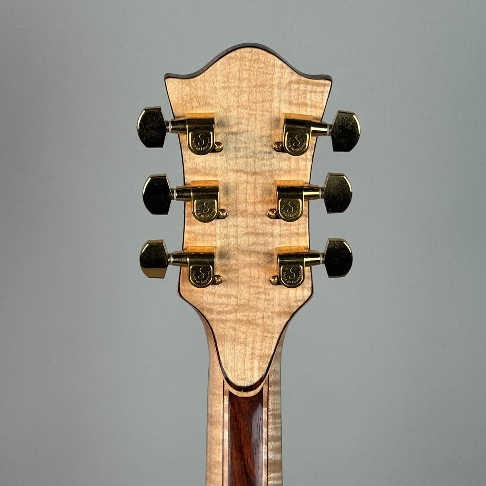 Robert Rusch 2017 Jerry Garcia Tiger Tribute by Robert Rusch