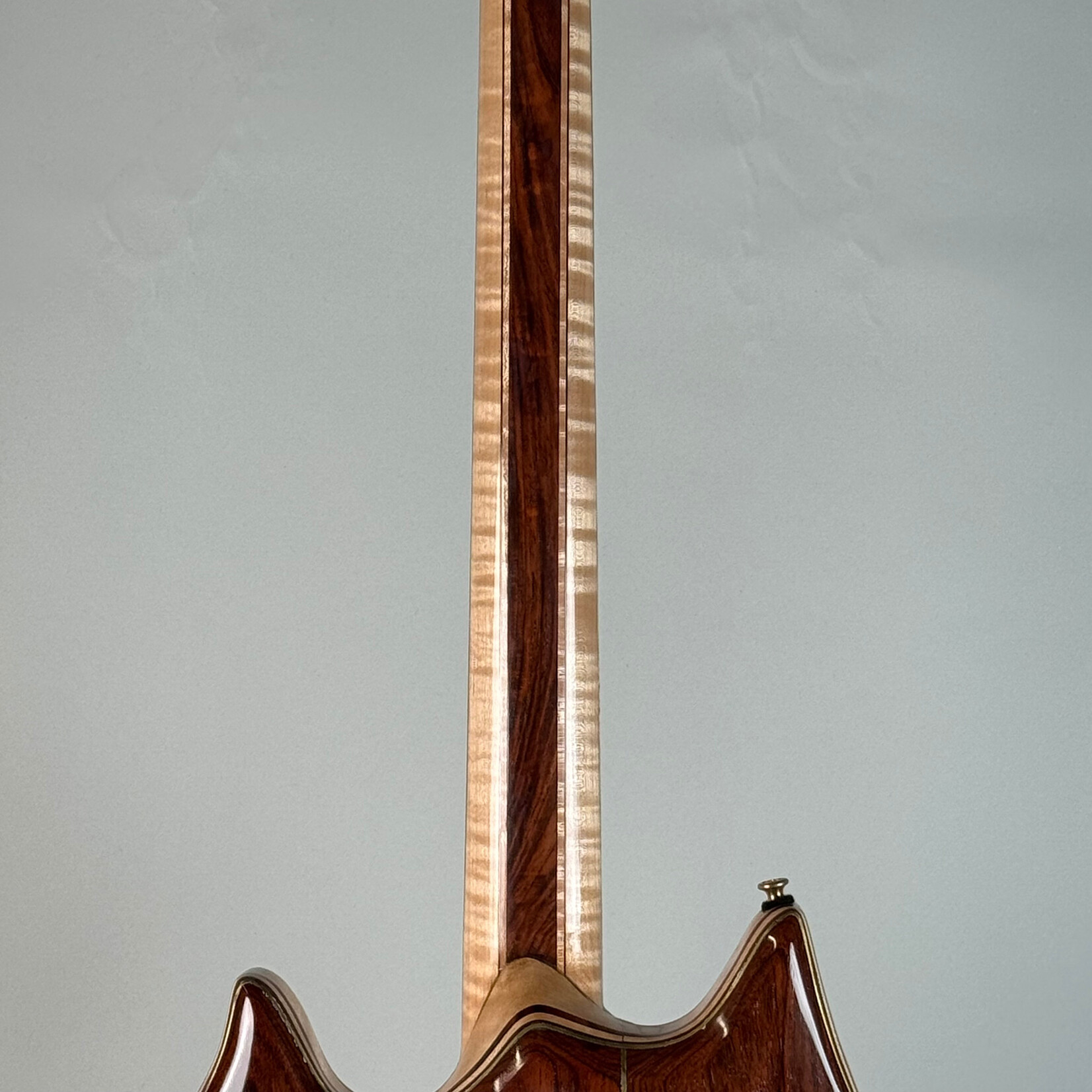 Robert Rusch 2017 Jerry Garcia Tiger Tribute by Robert Rusch