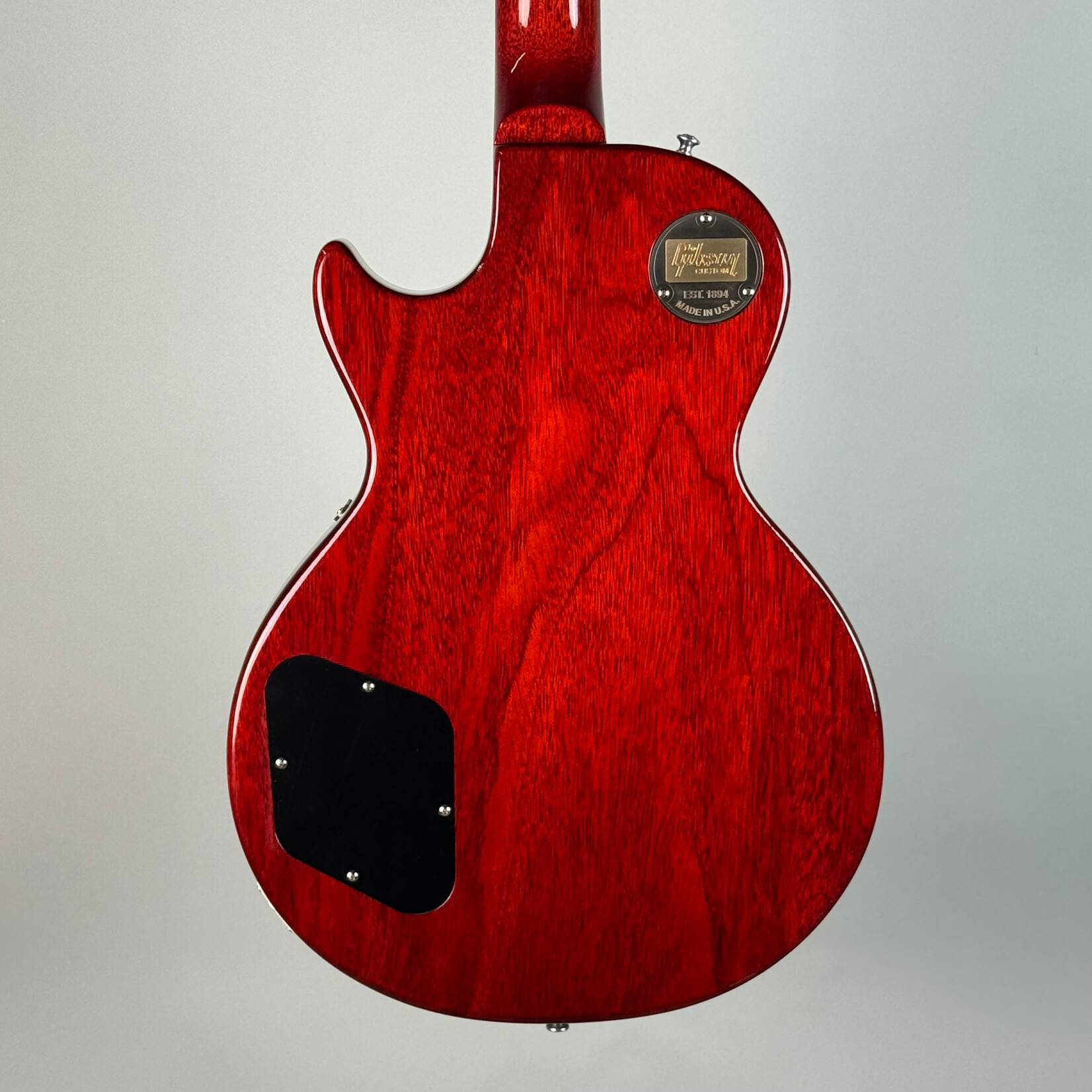 Gibson 2018 Gibson Custom Tom Murphy Painted Les Paul Standard Limited Run